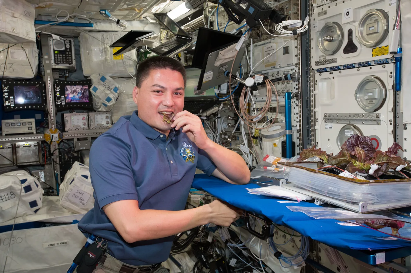 NASA astronaut Kjell Lindgren aboard the space station biting into a lettuce leaf, with the harvested red romaine spread on a blue work surface beside him
